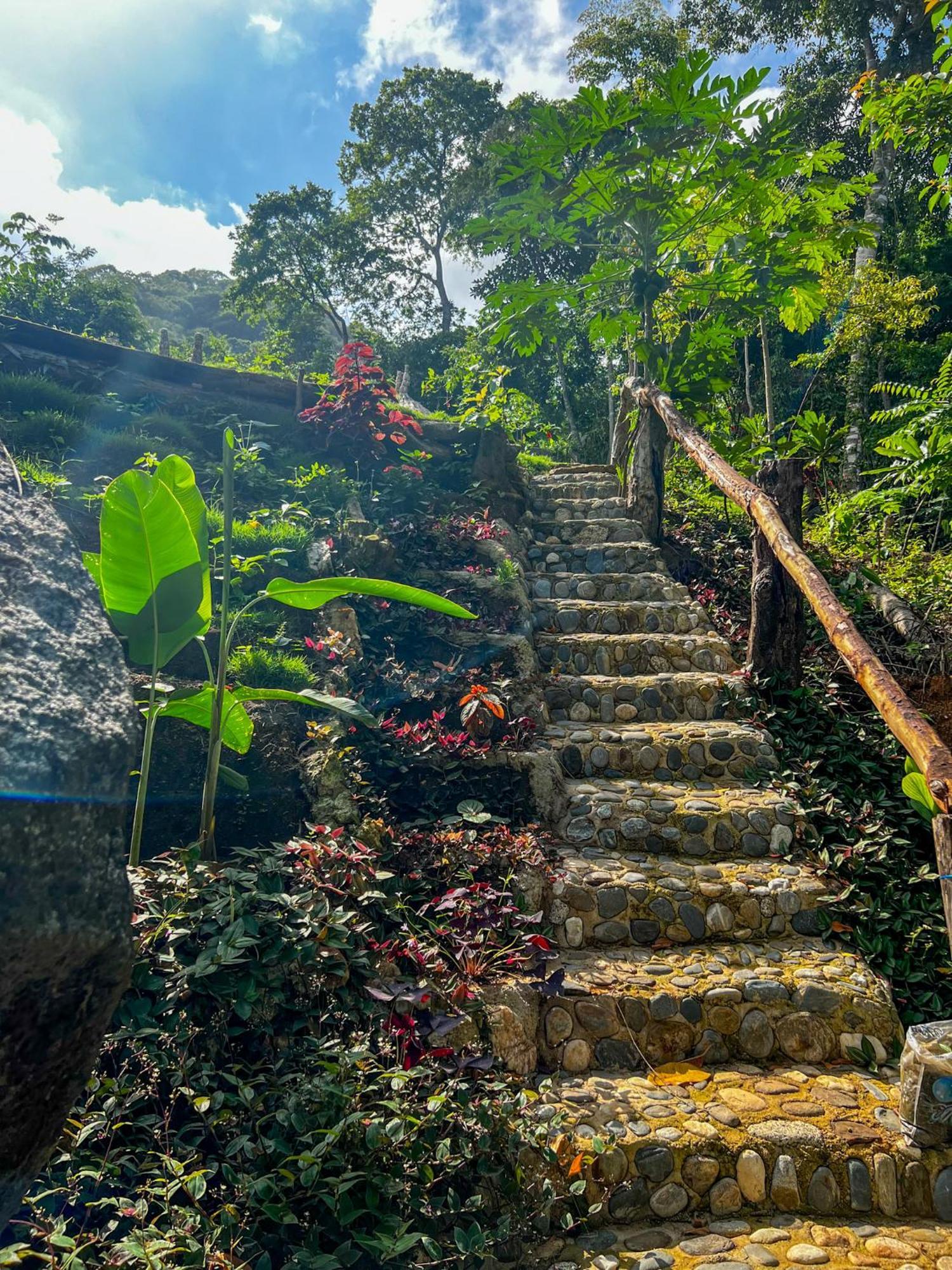 Hostal Paraiso Tayrona Kogui Лос-Наранхос Экстерьер фото